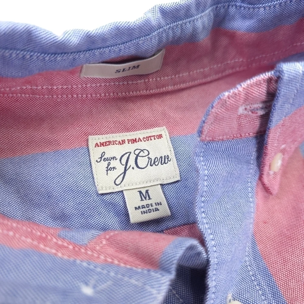 J. Crew Pink & Blue Long Sleeve Button Down Men's Shirt Sz M